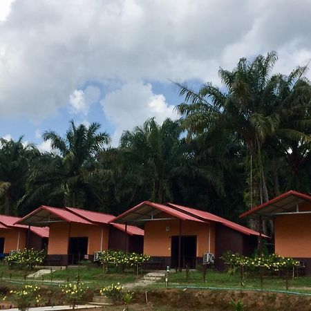 Khao Sok Evergreen House Khao Sok National Park Exterior foto