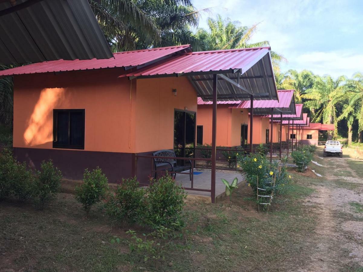 Khao Sok Evergreen House Khao Sok National Park Exterior foto