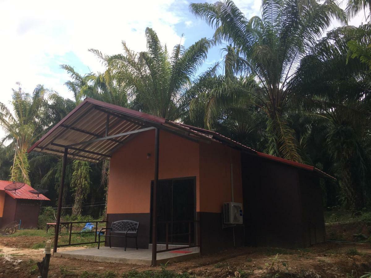 Khao Sok Evergreen House Khao Sok National Park Exterior foto