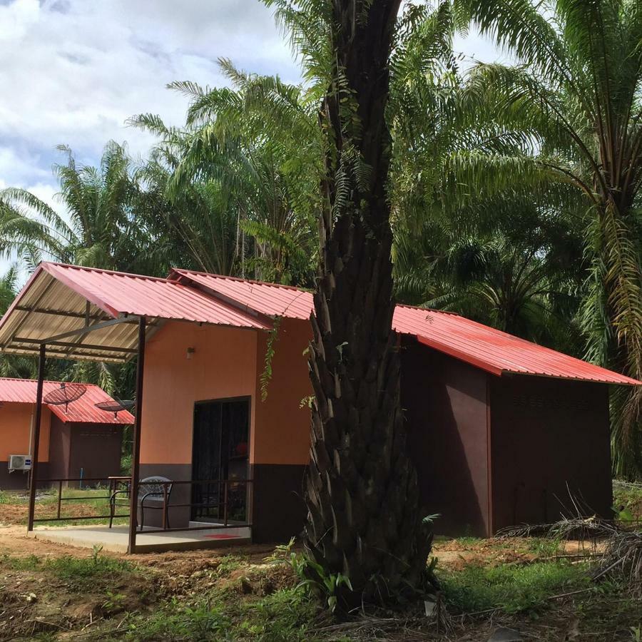 Khao Sok Evergreen House Khao Sok National Park Exterior foto