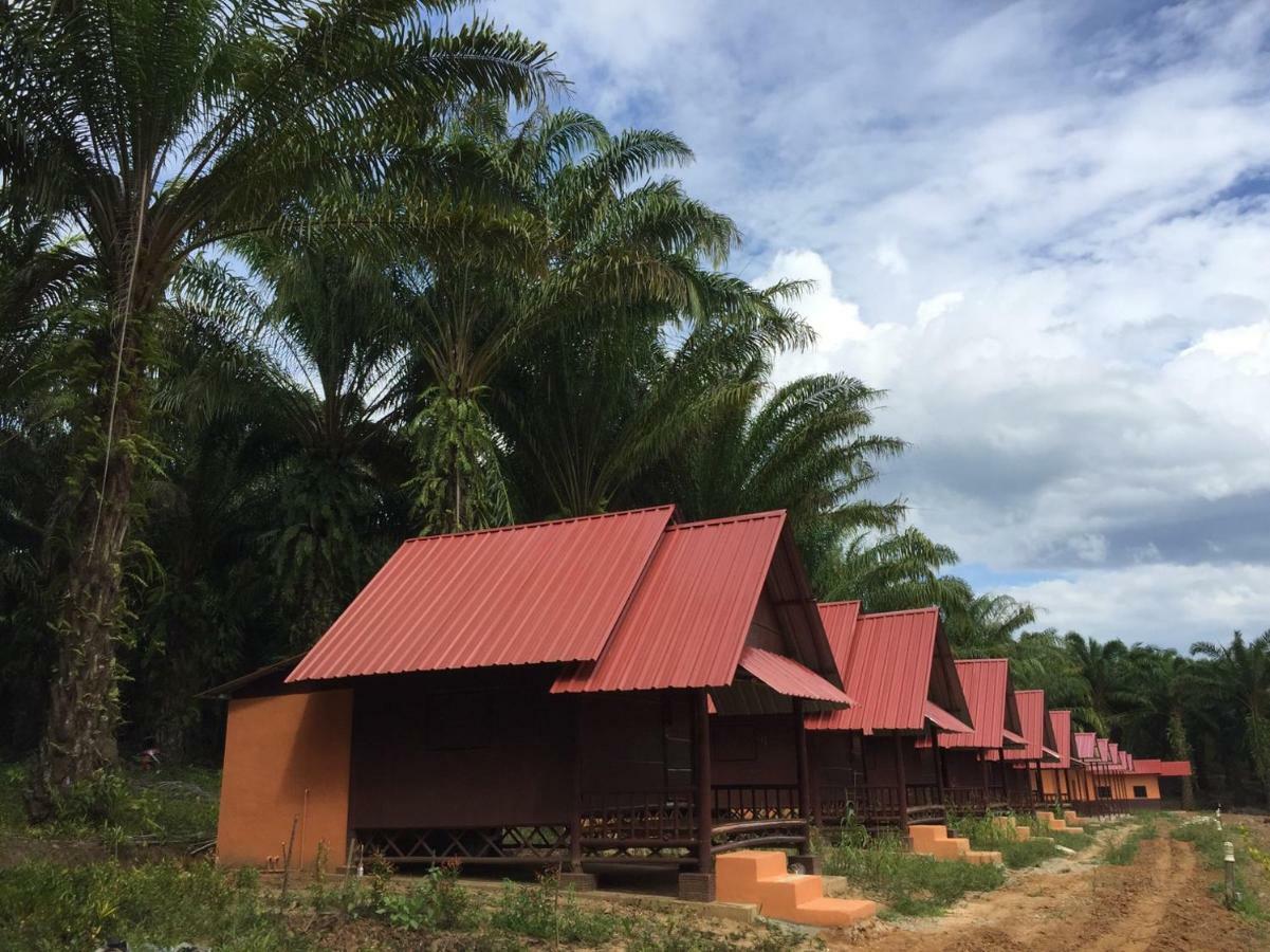 Khao Sok Evergreen House Khao Sok National Park Exterior foto