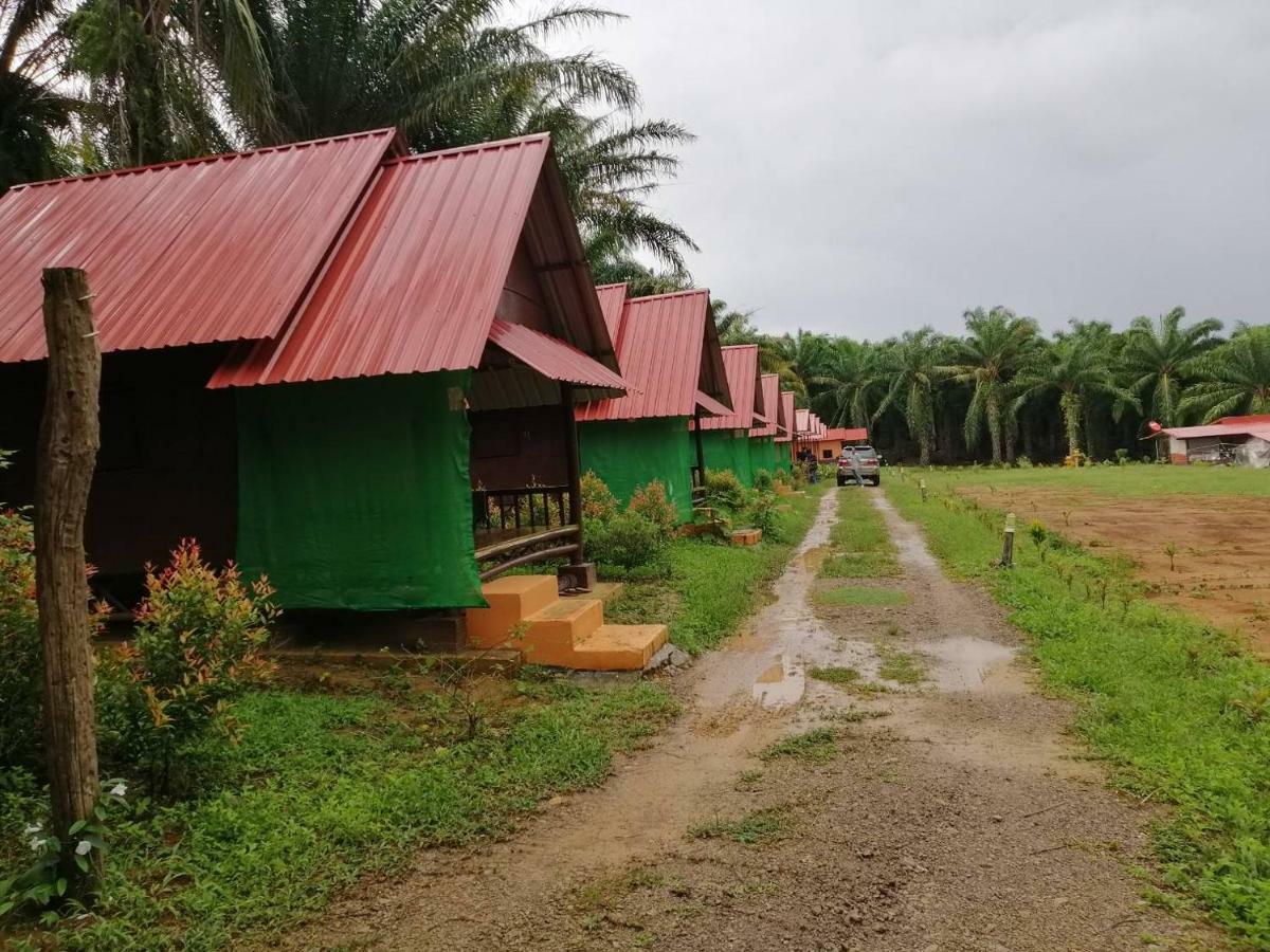 Khao Sok Evergreen House Khao Sok National Park Exterior foto
