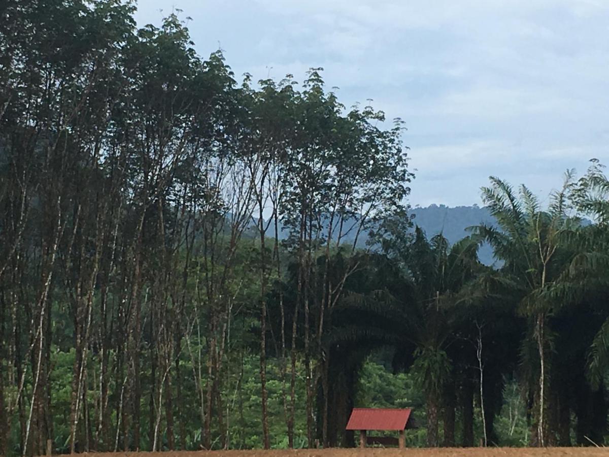 Khao Sok Evergreen House Khao Sok National Park Exterior foto