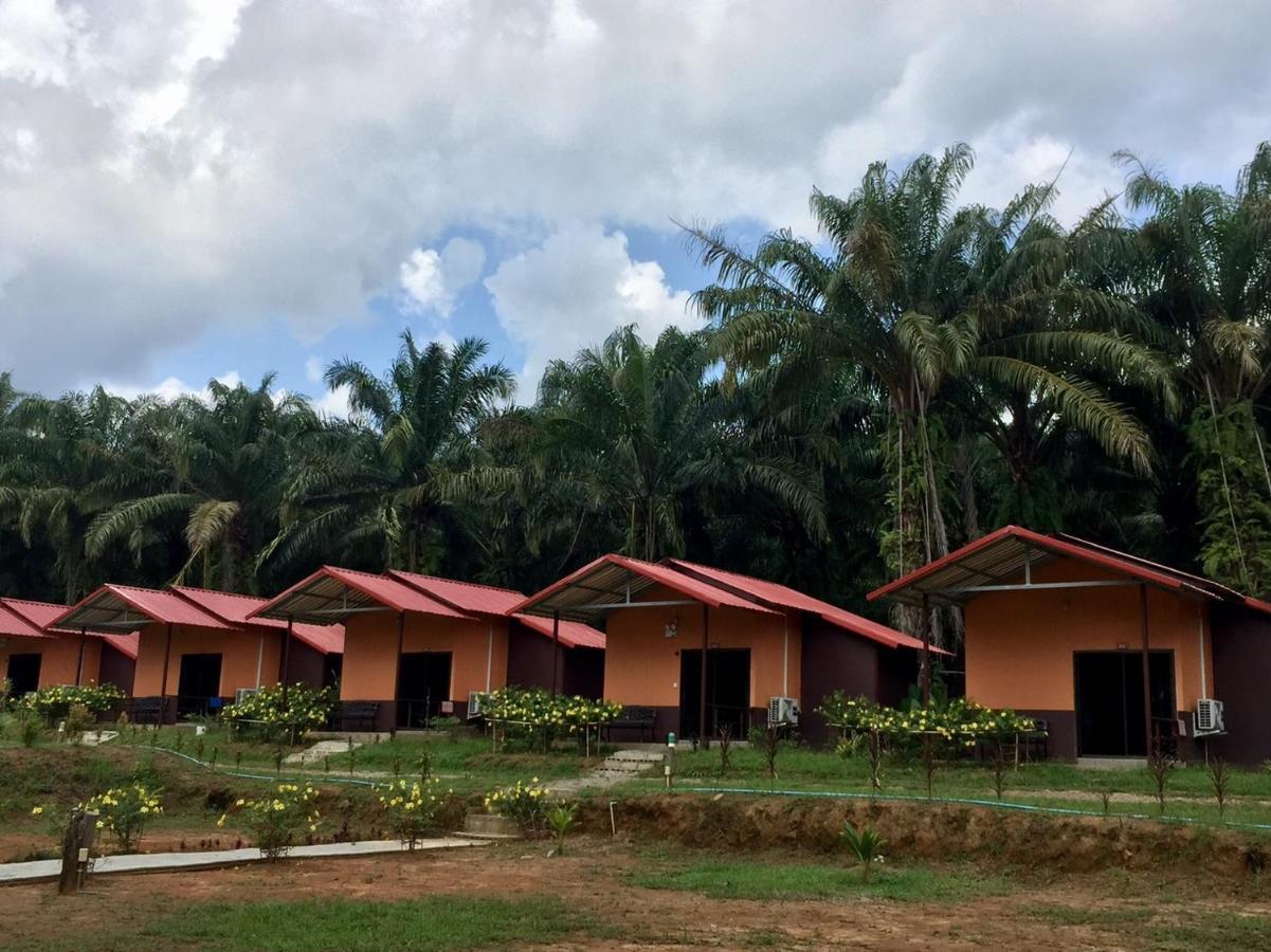 Khao Sok Evergreen House Khao Sok National Park Exterior foto