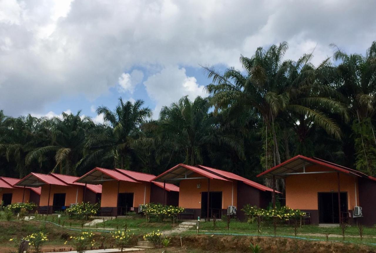 Khao Sok Evergreen House Khao Sok National Park Exterior foto