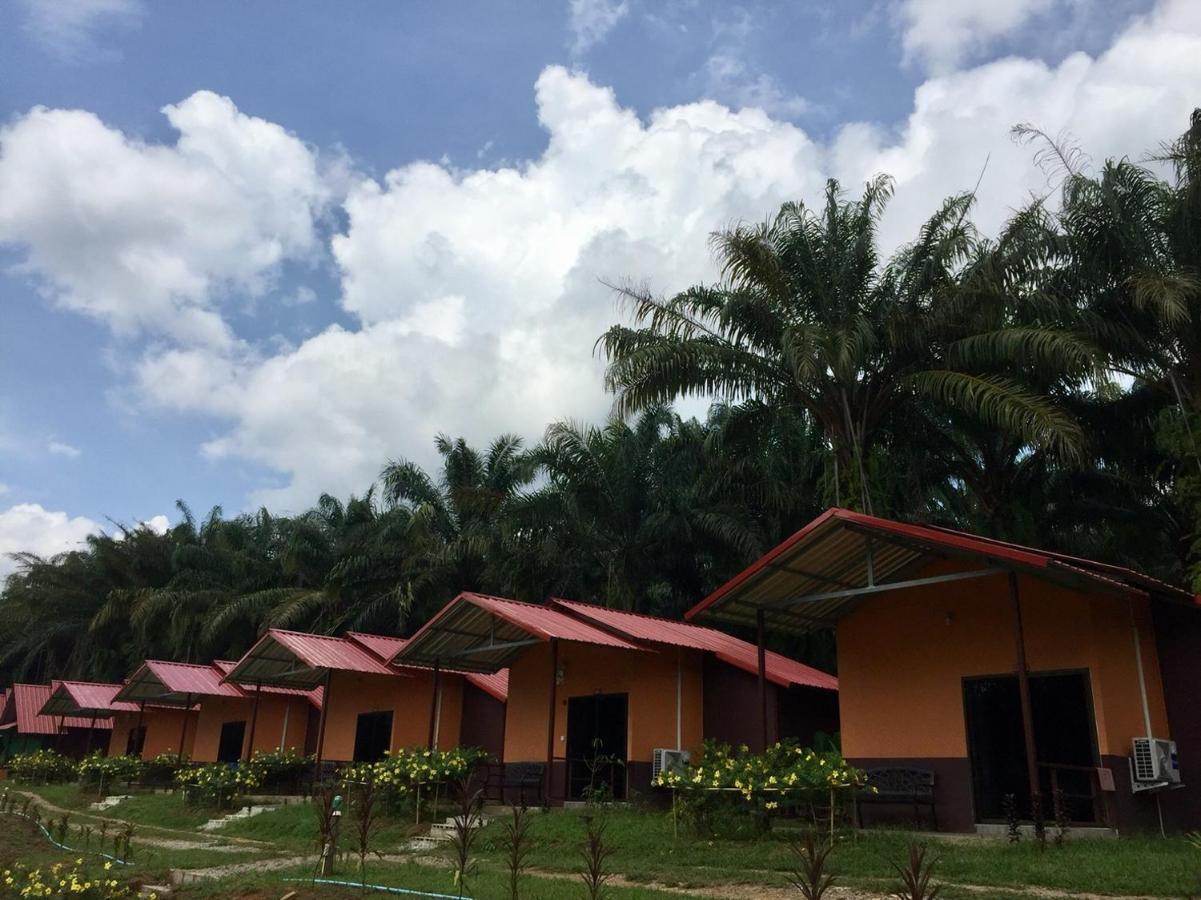 Khao Sok Evergreen House Khao Sok National Park Exterior foto